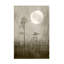 Art sur toile «Bachelor» au clair de lune-103093342