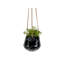 Tiggs Ceramic Hanging Planter-1001592598-1001608216