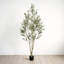 Olive artificielle avec pot-1267324232