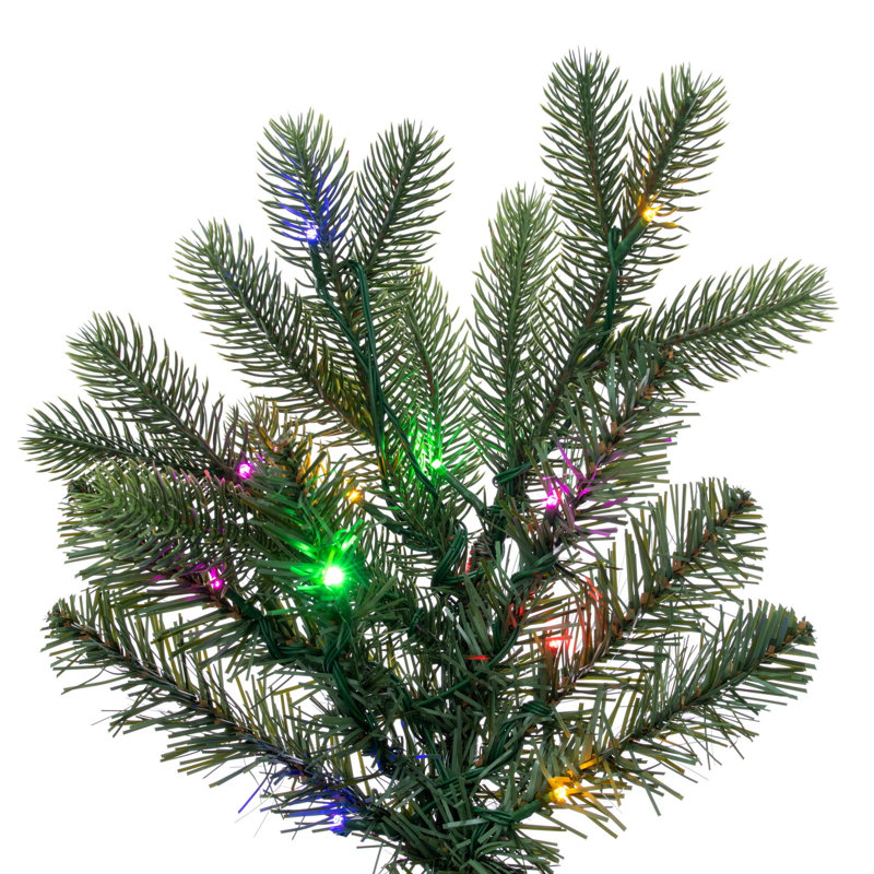Sapin de Noël Douglas, 7,5 pi x 60 po, Illuminée