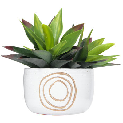 White Terracotta Planter