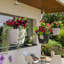 Hanging Planter-16493104-66329966