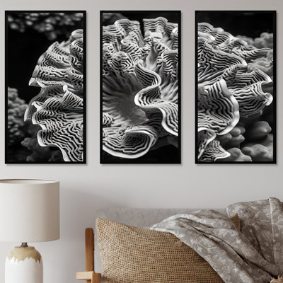 Coral Serenity en noir et blanc I - Ensemble de décoration murale corail sous l'eau Coastal