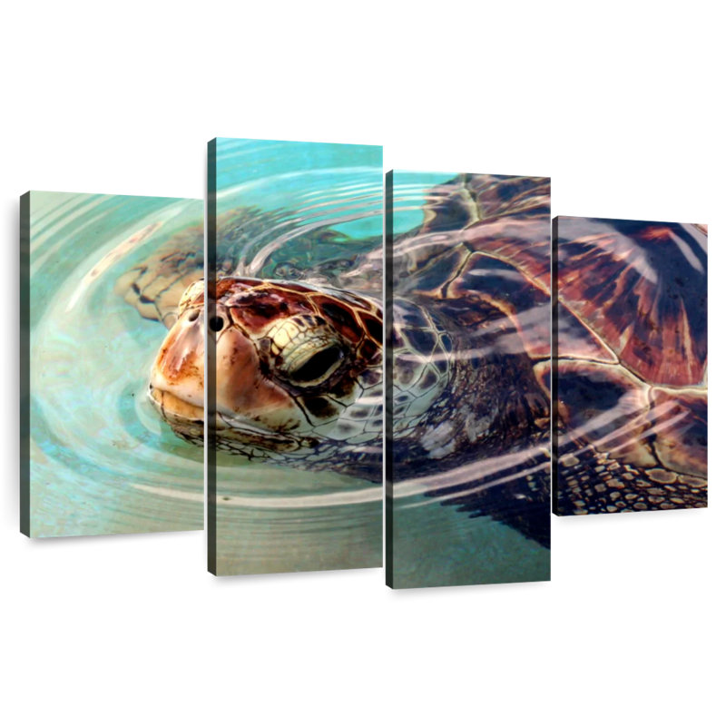 Brampt Peaking Turtle, 42" H x 68" W
