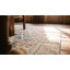 Tapis surdimensionné en coton ivoire Antique Agra