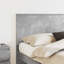 Headboard-1704107304-1704107318
