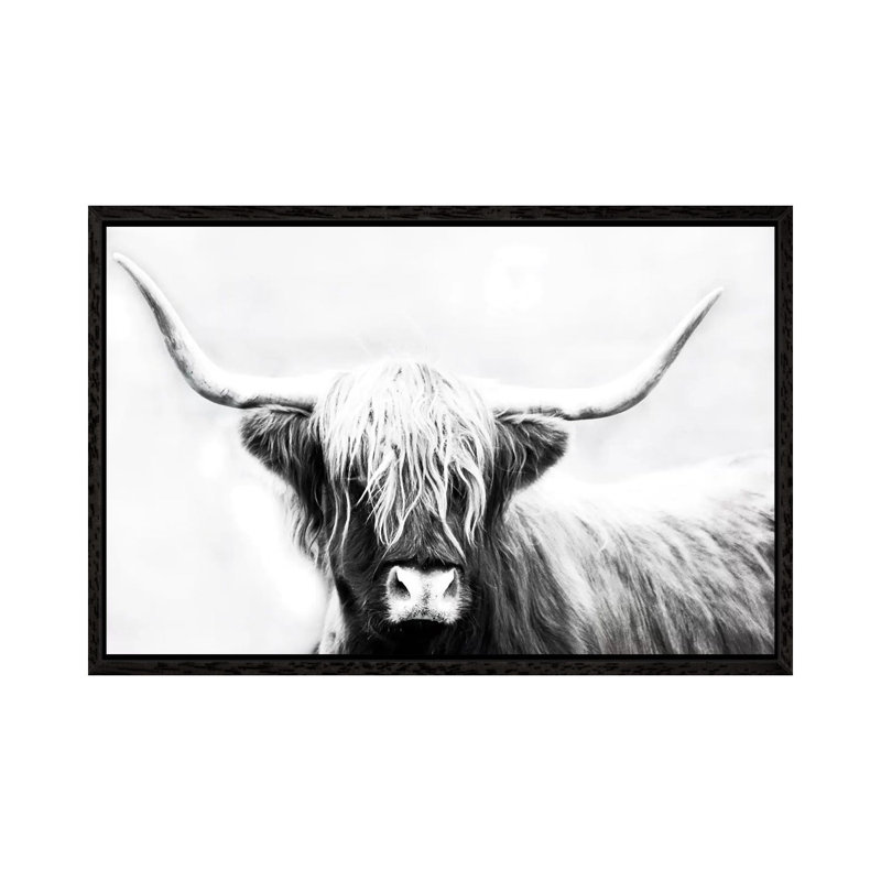 Danita Delimont by Danita Delimont - Floater Frame Gallery-Wrapped Canvas Giclée on Canvas, Black