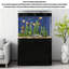 Aquariums aquatiques haute définition à filtre inférieur incurvé-1546281500-1546281501