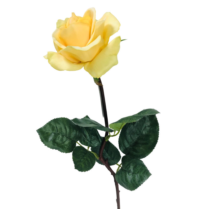 Arrangement floral de roses, Jaune