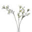Arrangement-111171136