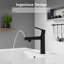 Robinet de salle de bain moderne 2-en-1 à couloir de fontaine - Support de terrasse en zinc noir mat pour appartement et véhicule récréatif-122764516