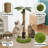 Tall Palm Tree Cat Scratching Post, Vertical Sisal Cat Scratcher with Turntable Ball Toy for Indoor Cats