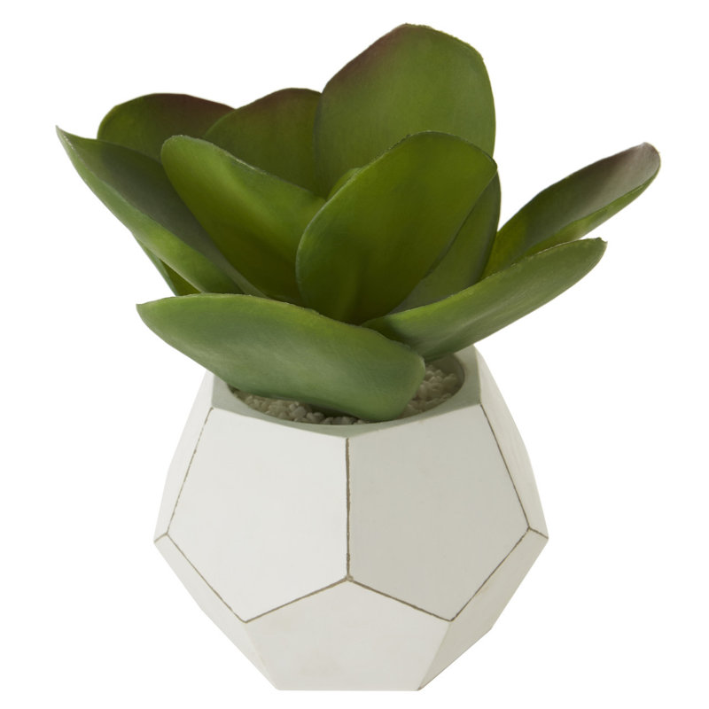 24cm Faux Succulent Plant in Concrete Pot