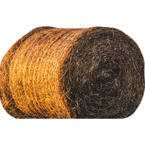 SP13433 «Land of Bale of Hay Hay»