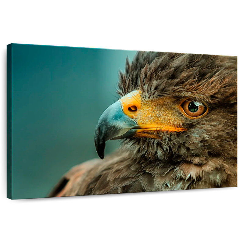 Sky Hunter Eagle, 24" H x 36" W
