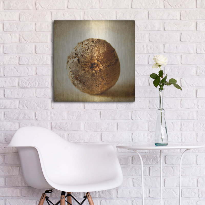 «Oak Pods 5» par Jessica Rogers, H 24 po x l 24 po
