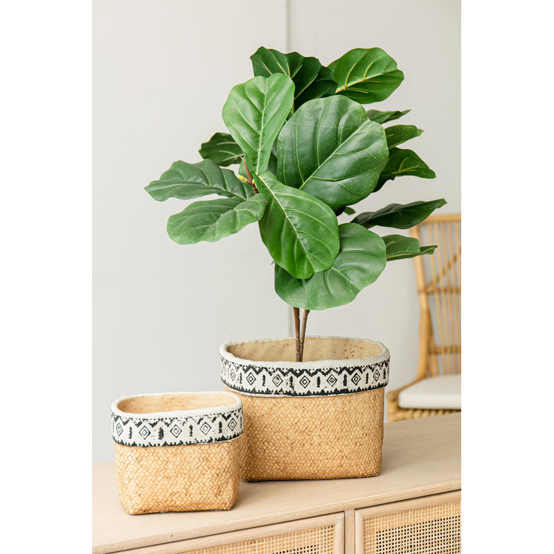 Tall Artificial Fiddle-Leaf Fig Tree in Woven Basket Set