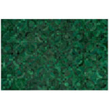 Optico Cowhide Geometric Area Rug in Green