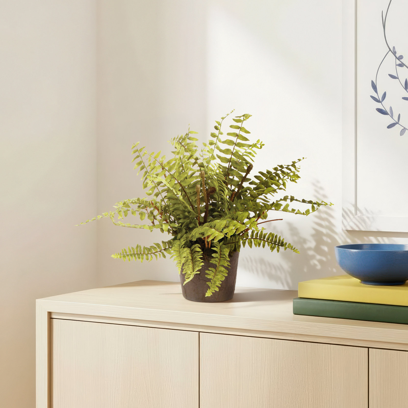 Fern Plant, 12" H x 12" W x 12" D