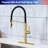 Rainlex Pull Out Kitchen Faucet-64540360