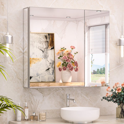 Omeed Mirrored Aluminum Medicine Cabinet with 2 Shelves