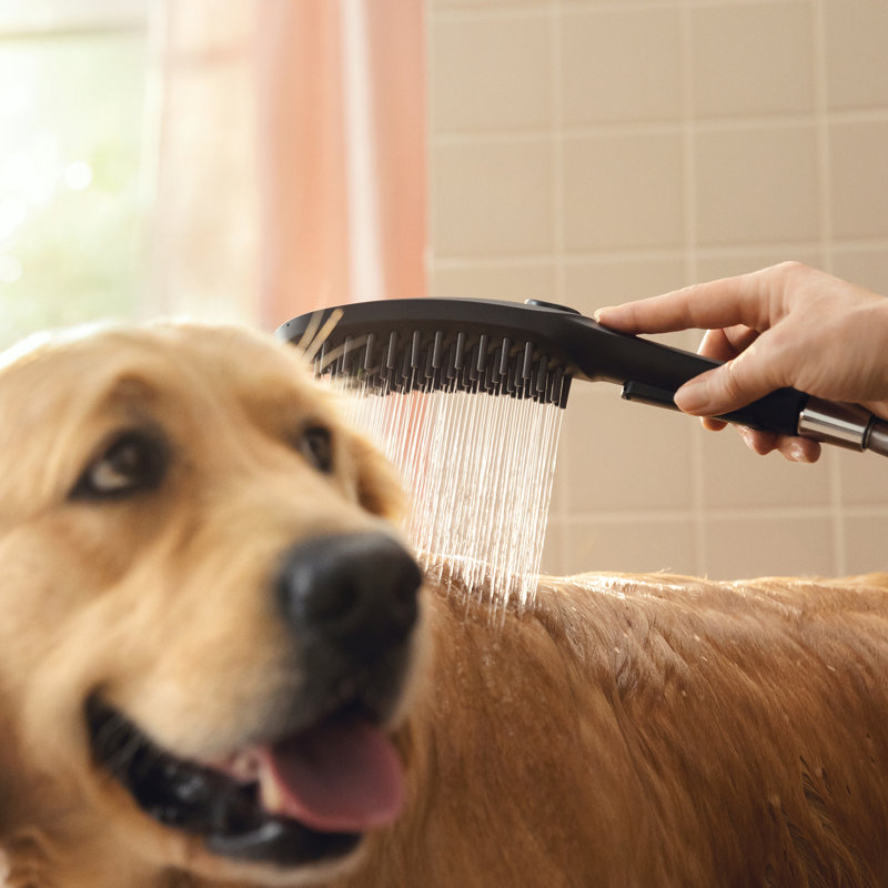 Hansgrohe Dog Shower, 3-Spray, 1.75 GPM, Matte Black