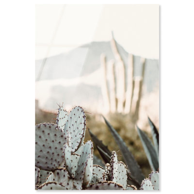 Sage Spikes Acrylic Print Desert Wall Decor by Notoriart, Ready to Hang, 24 x 36
