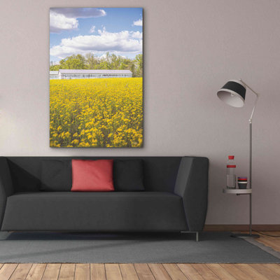 " Field Of Yellow I " by Donnie Quillen