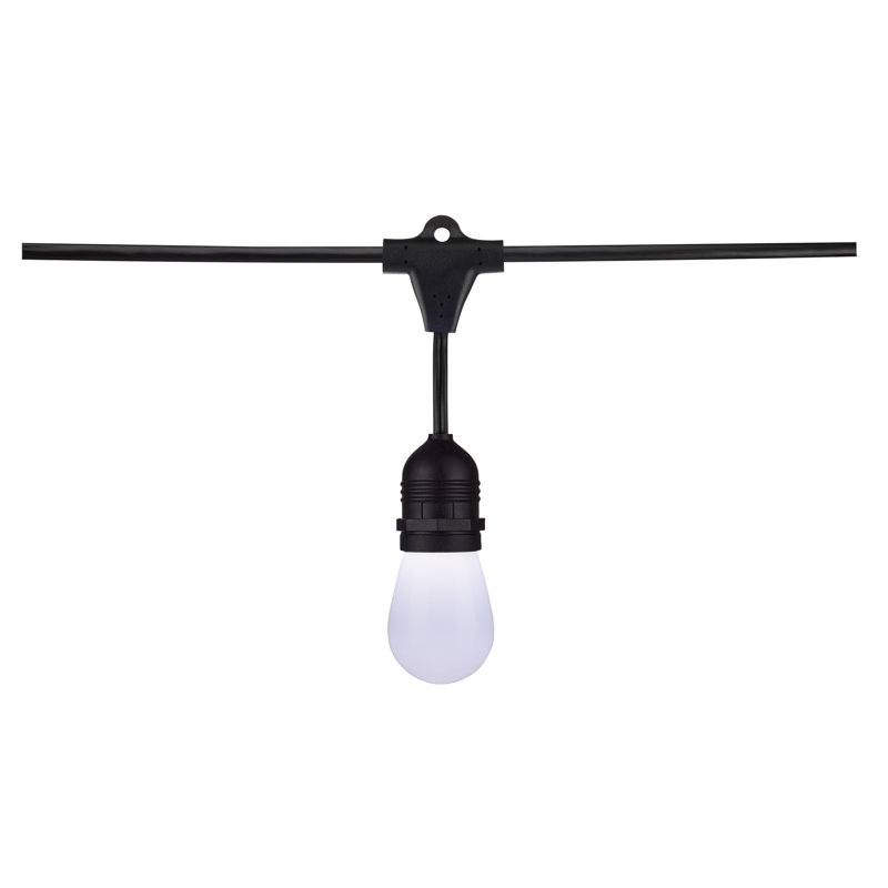 Outdoor 12 - Bulb 288'' Plug-in String Light