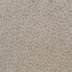 Camel Polyester