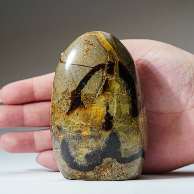 Polished Septarian Freeform from Madagascar (1.2 Lbs)