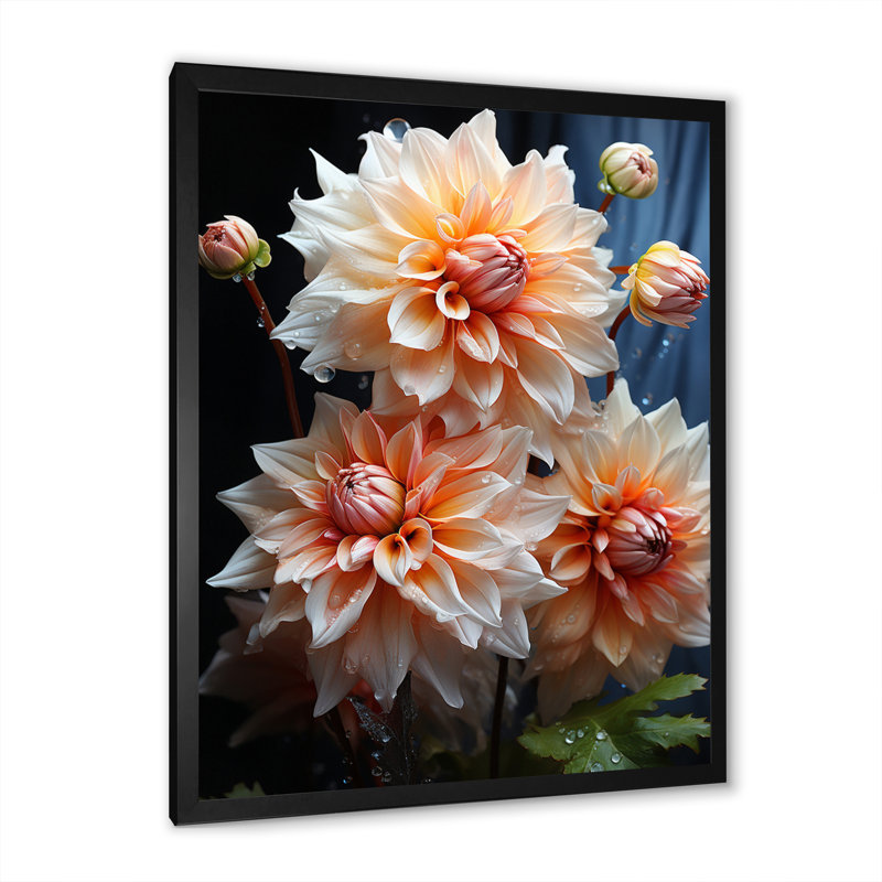 Impression romantique sur toile Vontrel Peach Dahlia, Cadre photo noir, H 20 po x l 12 po x P 1 po