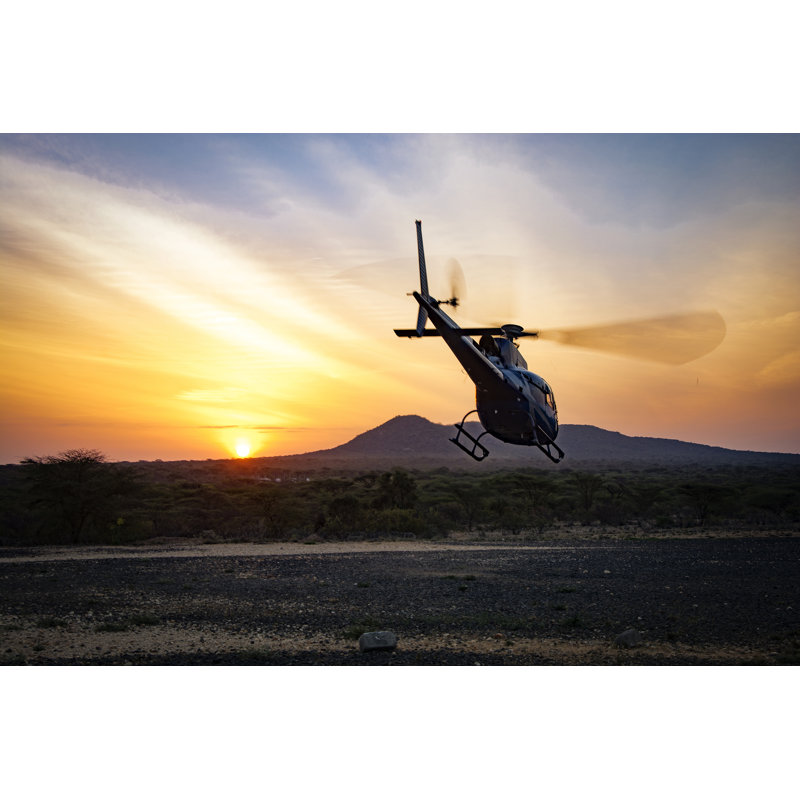 Dawn Flight by Gavin Niall Dillon - Wrapped Canvas Print, 81cm H x 122cm W