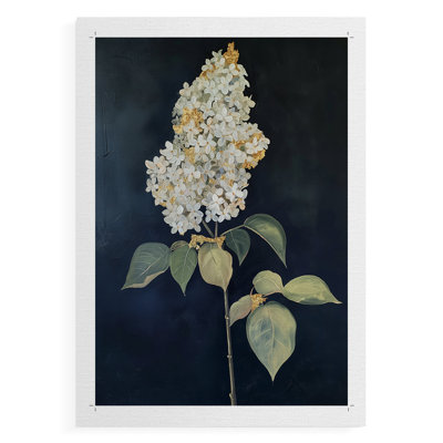 FLORAL Series CLXXVI -Canvas Print Only - NOT FRAMED