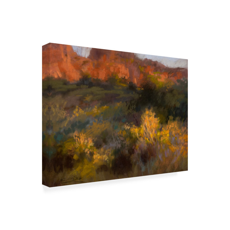 Art sur toile «bolologic» par Christine Debrosky, H 18 po x l 24 po