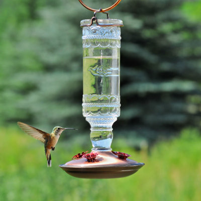 Captiva Glass Hanging Hummingbird Feeder