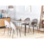 Casia Rectangular Dining Table with Iron Base