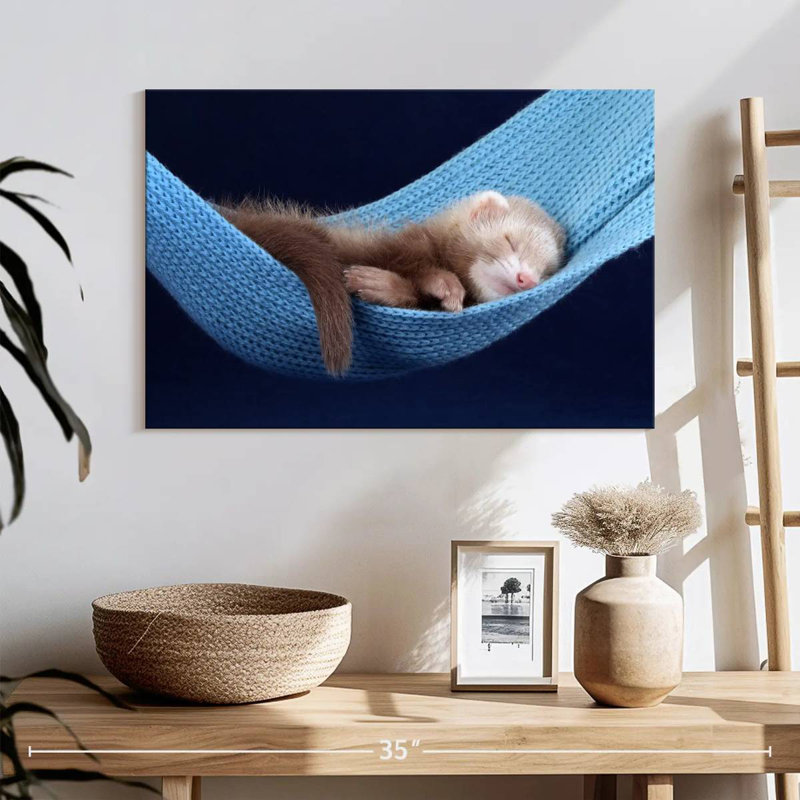 Ferret Hammock, 16" H x 24" W