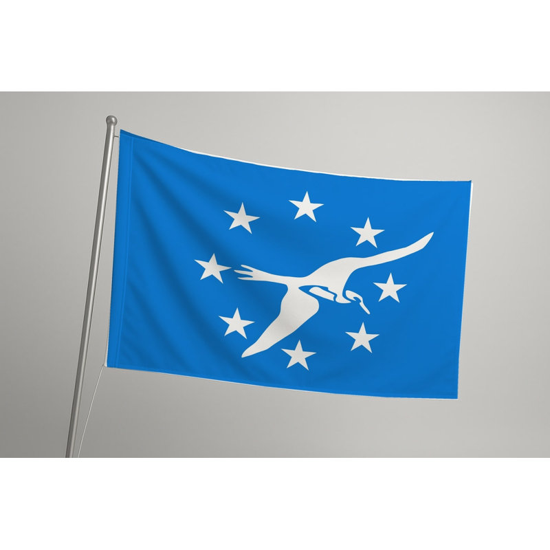 Drapeau de la ville de Corpus Christi - Drapeau extérieur, 36" H x 60" W
