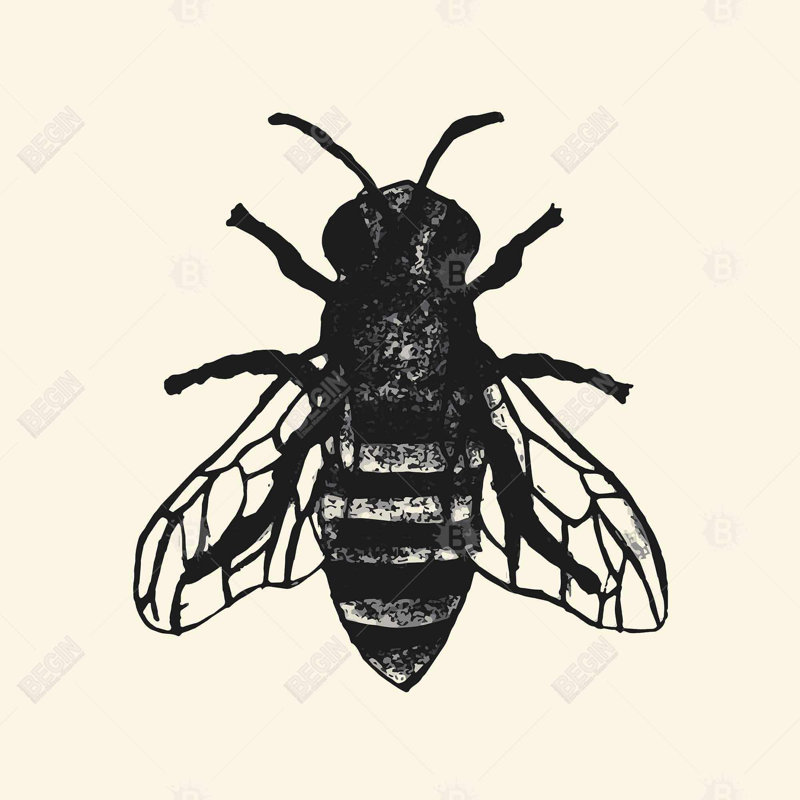«Bee»