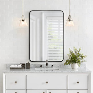 Eitzen Rectangle Metal Wall Mirror