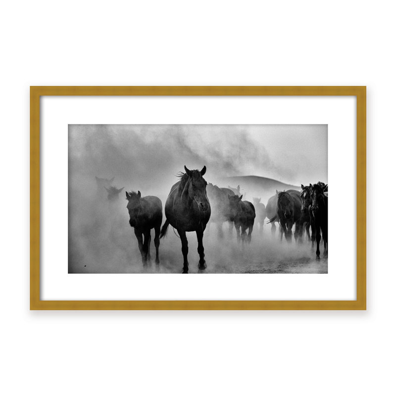 Nature Inspired Untitled by  - Picture Frame Photograph on Paper, 16" H x 24" W x 1.125" D, Black, Framed Matted Print