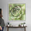 «Garden Succulents II», art mural sur toile-1962576416-1962576417