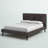 Alia Upholstered Platform Bed-2036409948