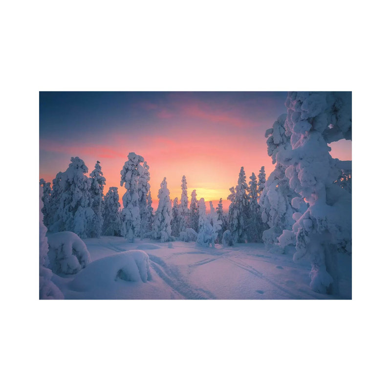 Levi Lapland - Finland by Cuma Çevik - Wrapped Canvas Print, 66.04 cm H x 45.72 cm W x 3.175 cm D