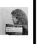 Jim Morrison, photos de Mugshot de 1968 - reproduction encadrée 14 x 18