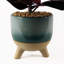 35cm Faux Plant in Ceramic Pot