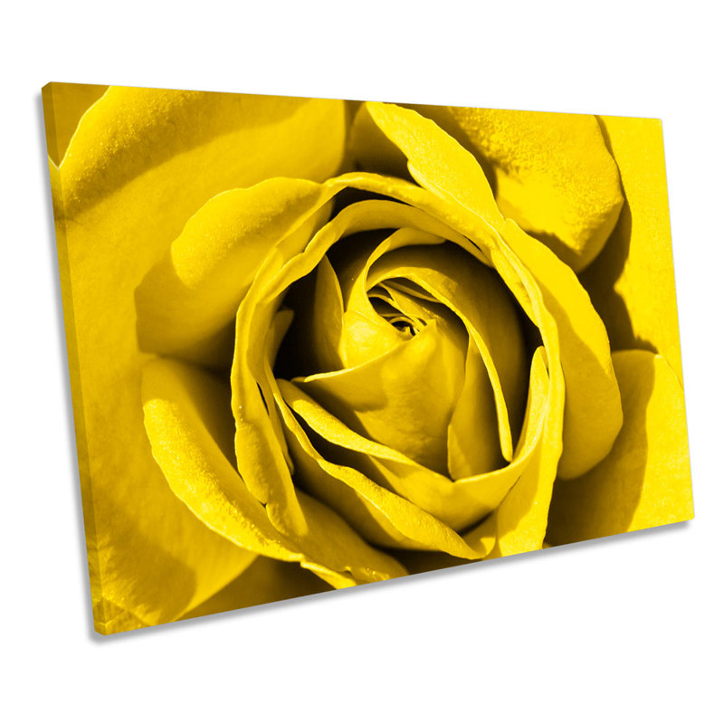 Flower Rose Closeup - Wrapped Canvas Art Prints, 61cm H x 91.4cm W