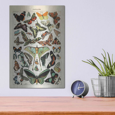 " Papillons 1 " by Susan Ball