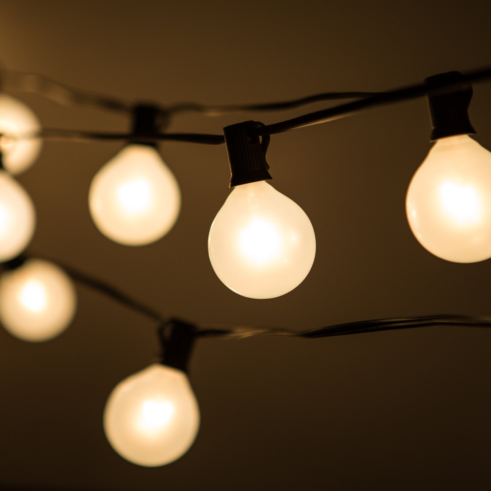 Conde 25'' Globe String Lights, Black